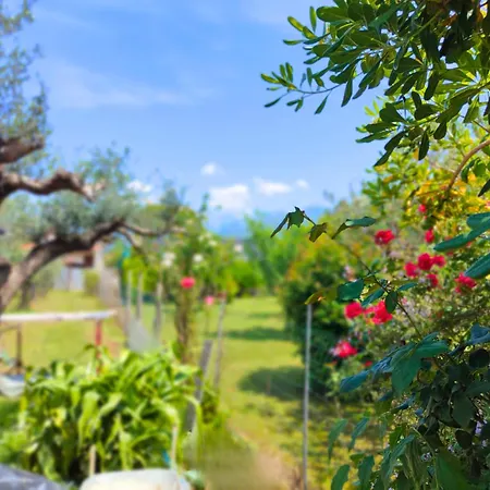 Mon Casa A Marina Con Giardino Hébergement de vacances Marina di Massa